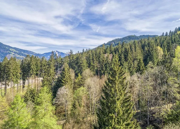 Im Brixental Ii Alpesi faház